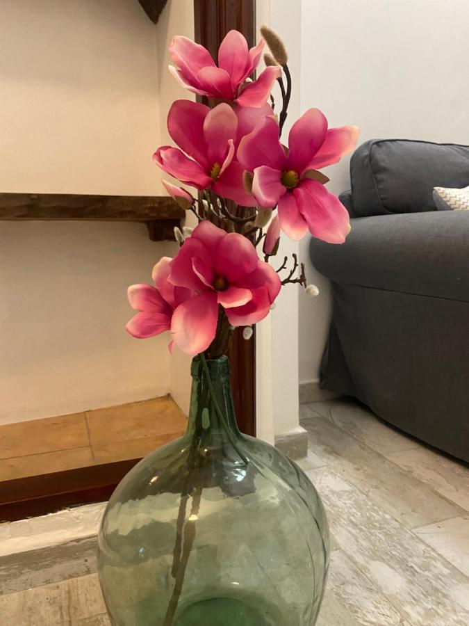 Apartamento La Pepa - Santa Cruz De La Palma Santa Cruz de la Palma  Dış mekan fotoğraf